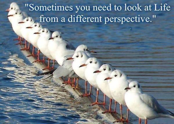 learn to gain perspective
